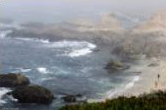 Bodega Head Gallery